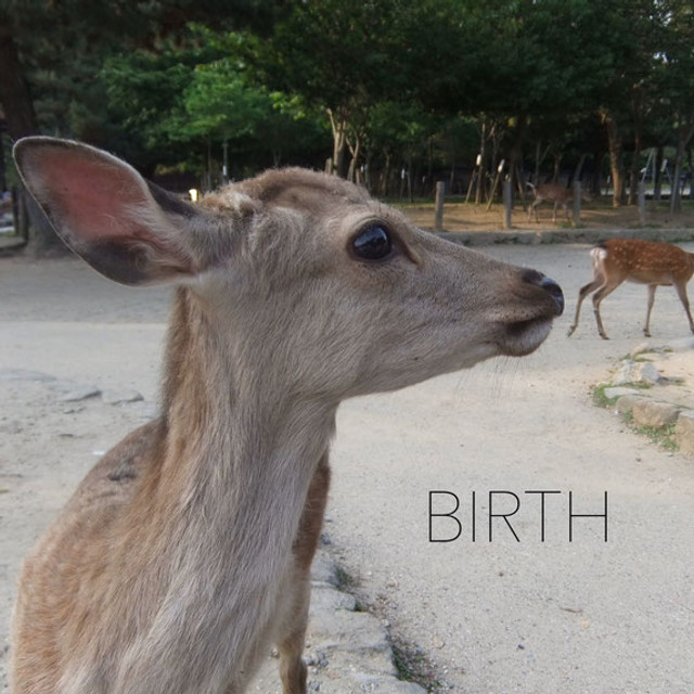 BIRTH