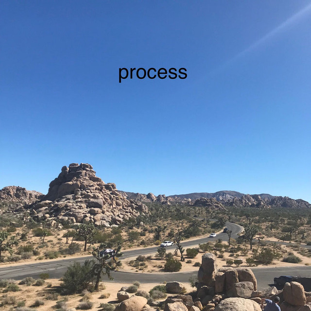 process