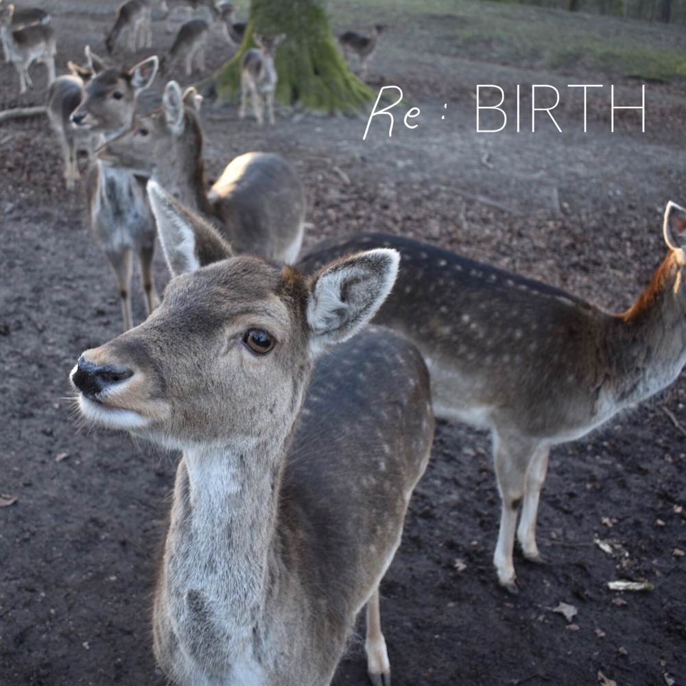 Best Album「Re:BIRTH [2019-2025]」リリース決定！