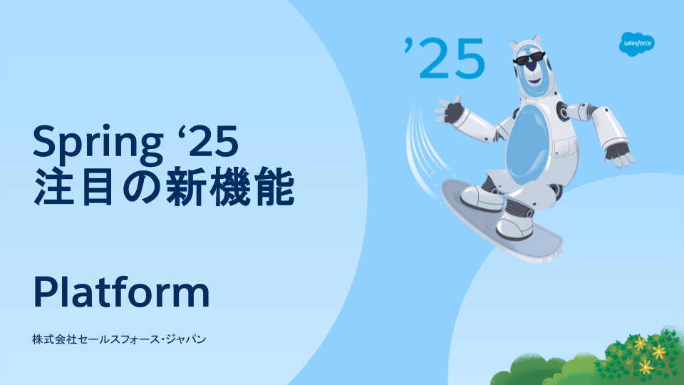 DPまとめ_Platform_Spring '25 資料.png