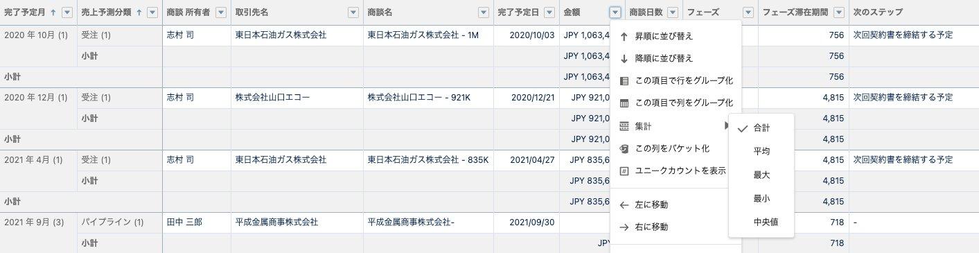 レポートを使いこなす裏ワザ（その1：集計項目）｜Sales Cloud