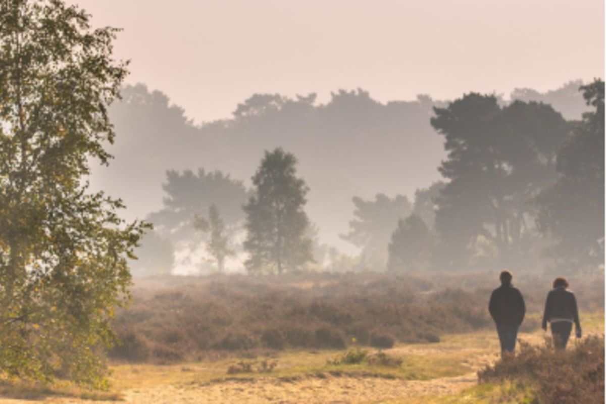 Roadtrip door de Hoge Veluwe Goboony