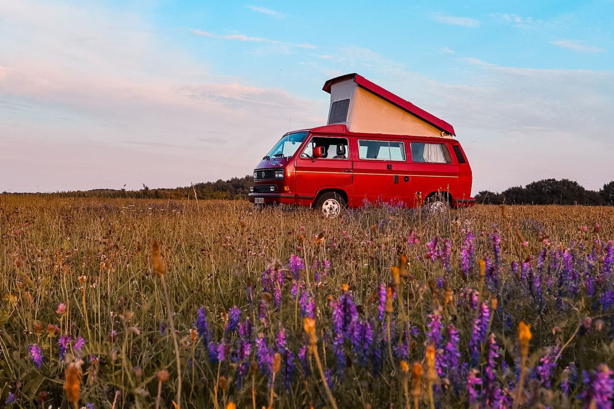 Itinerario Emilia Romagna - Emilia Romagna in Camper - street art ...