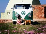 Viaggiare in camper con il tuo cane