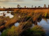 Met de camper naar de Hoge Venen: camperplaatsen en campings 