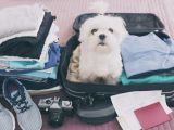 7 Most Commonly Forgotten Things to Pack for a Motorhome Trip