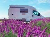 Viaggio in camper tra i campi di lavanda in Italia