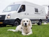 Dog Friendly Accommodation with your Campervan