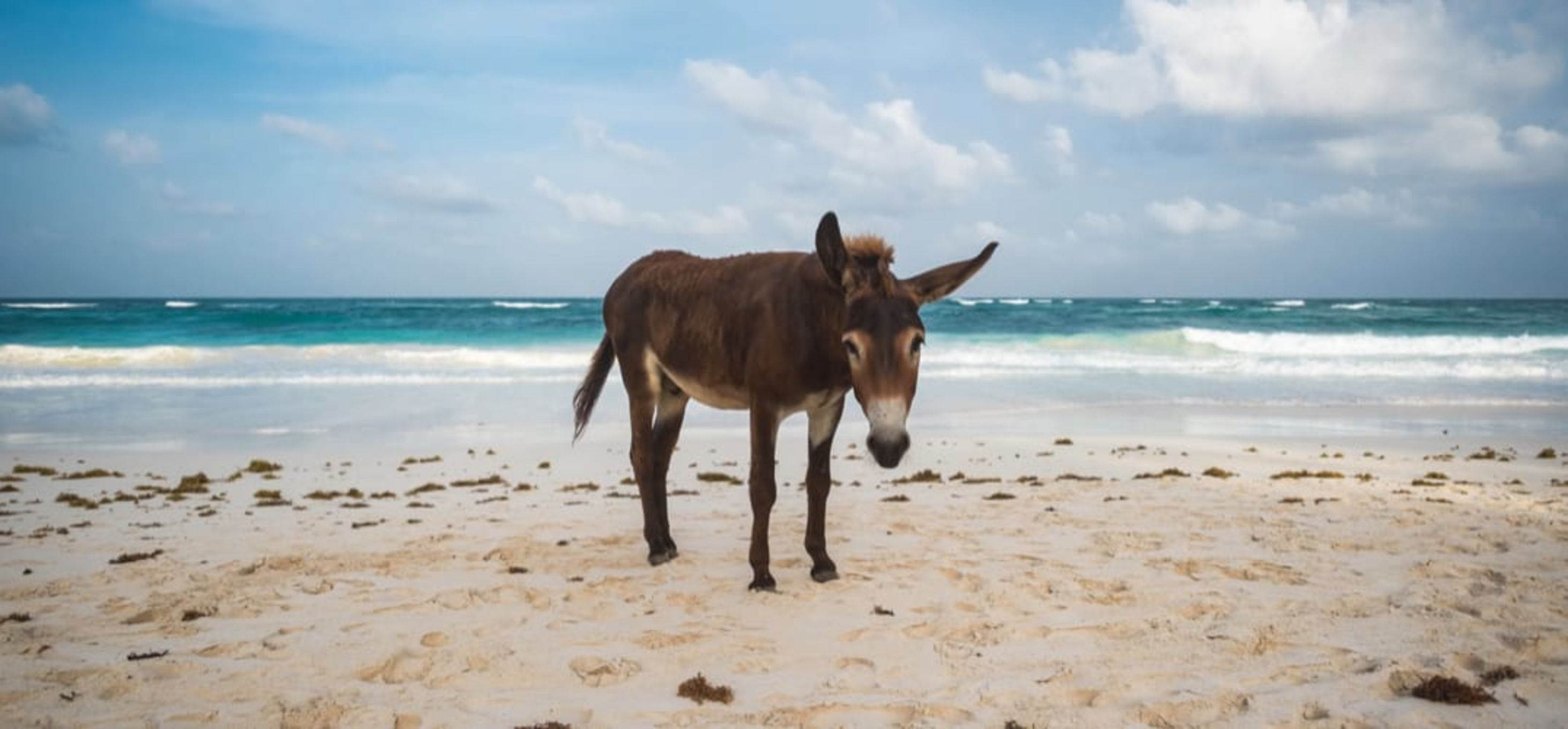 5 unieke zomervakantie activiteiten