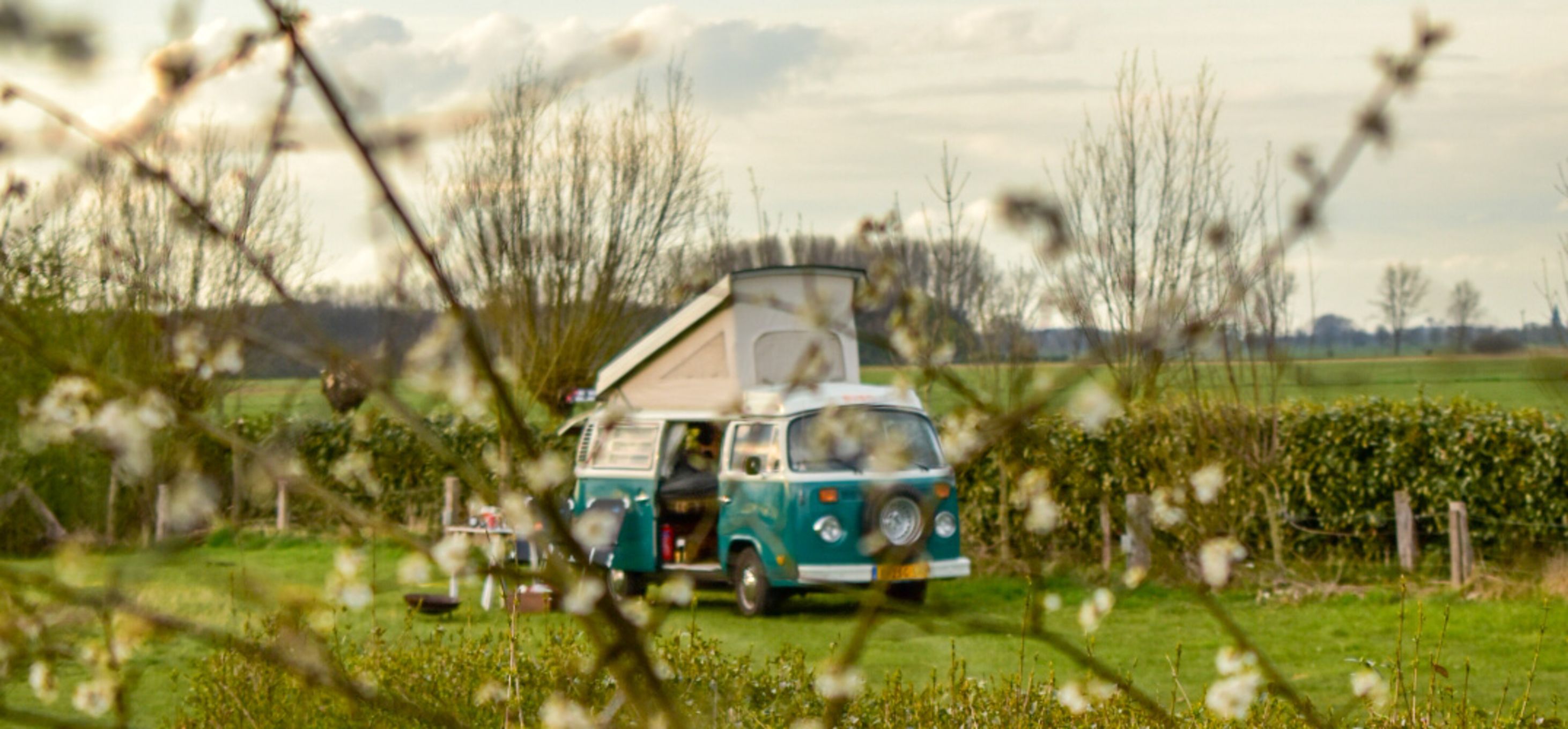 Alles wat jij wil weten over de bloesemroute in België