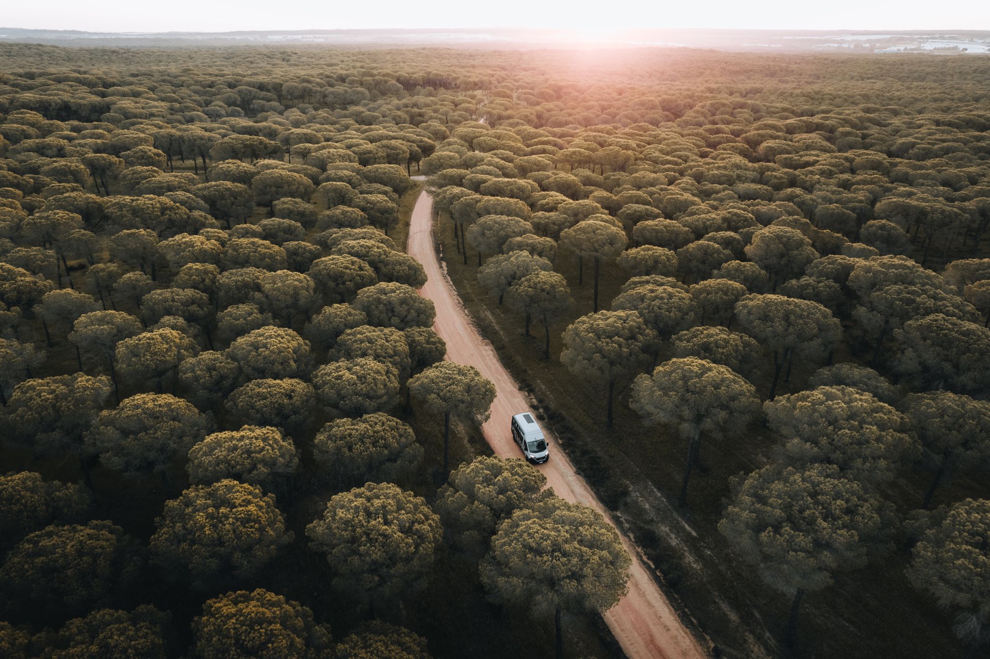 Goboony genomineerd voor de Duurzaamheidsaward 2024