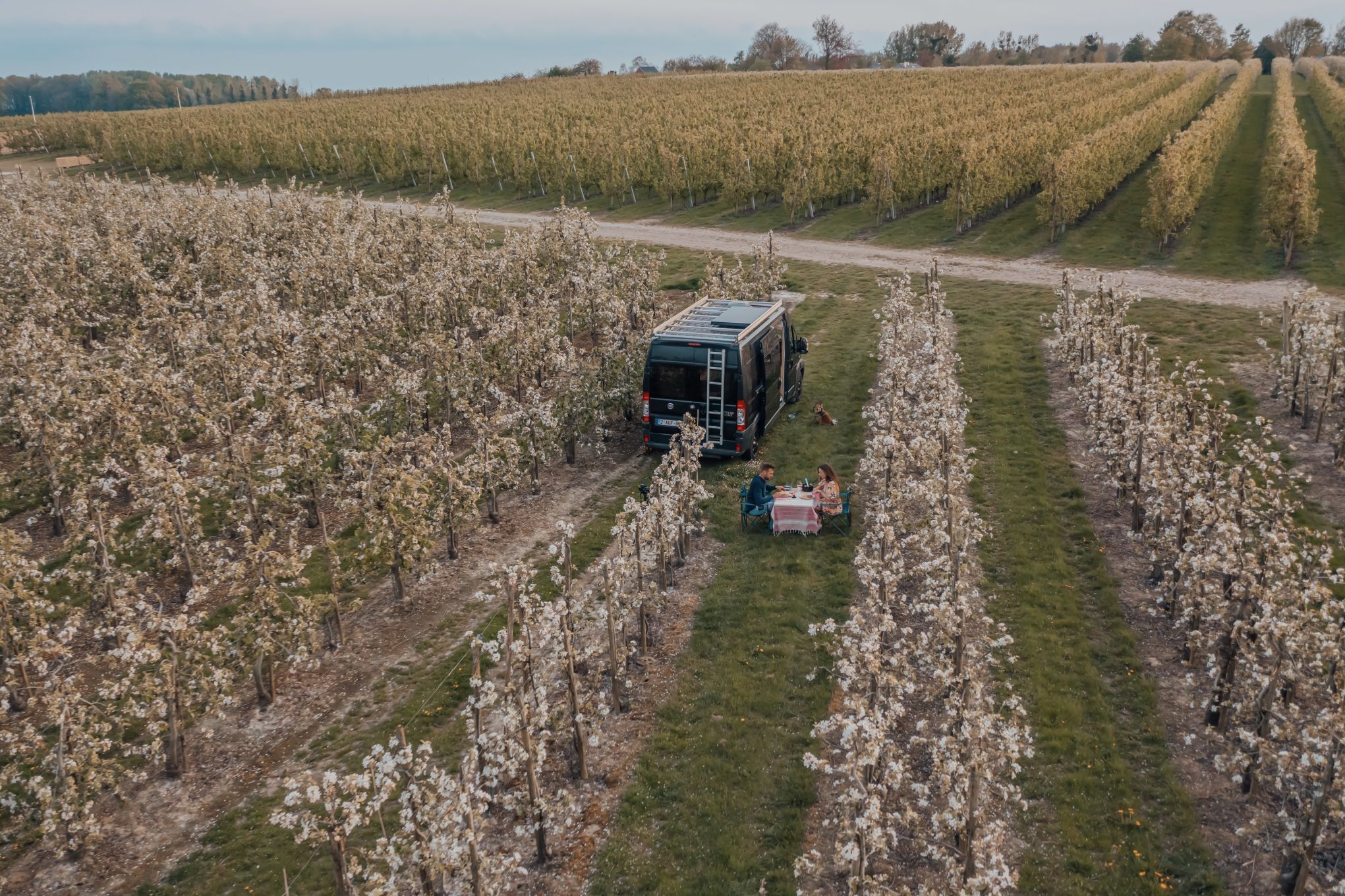 Infiorate in Italia: dove vedere lo spettacolo floreale del Corpus Domini