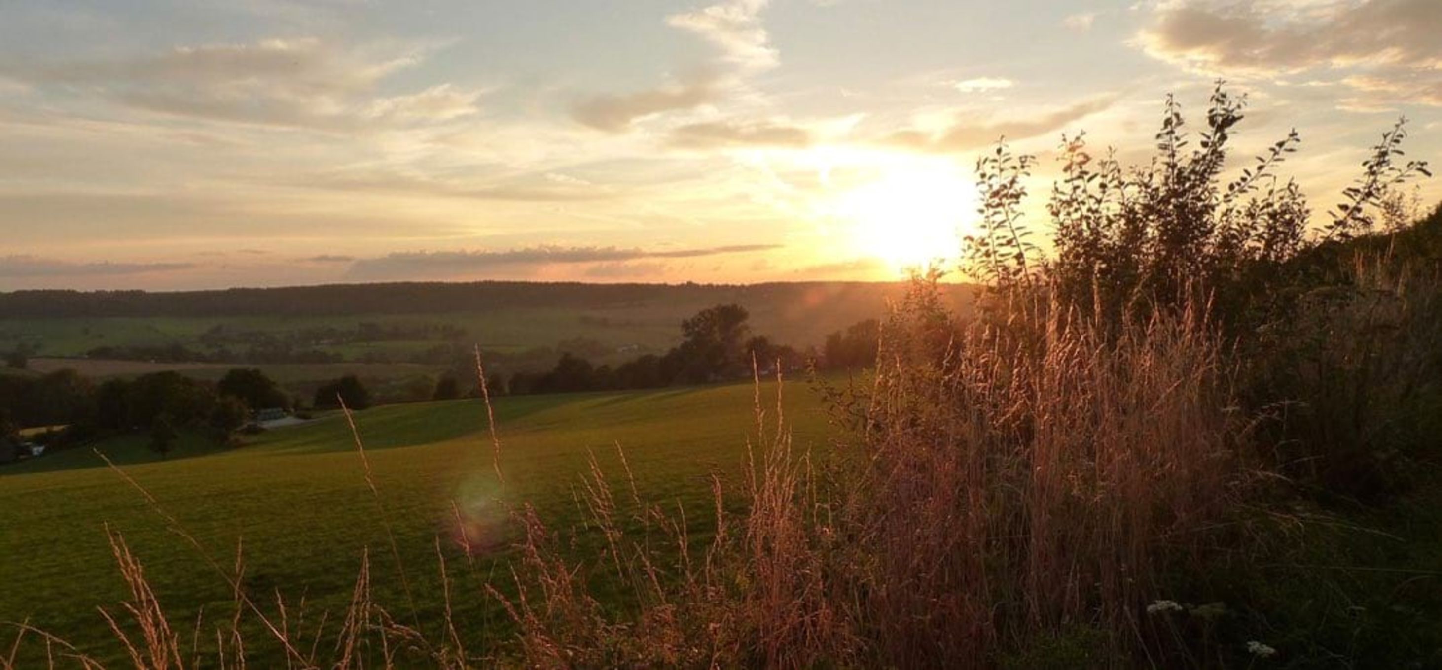 Natuurcamping Limburg