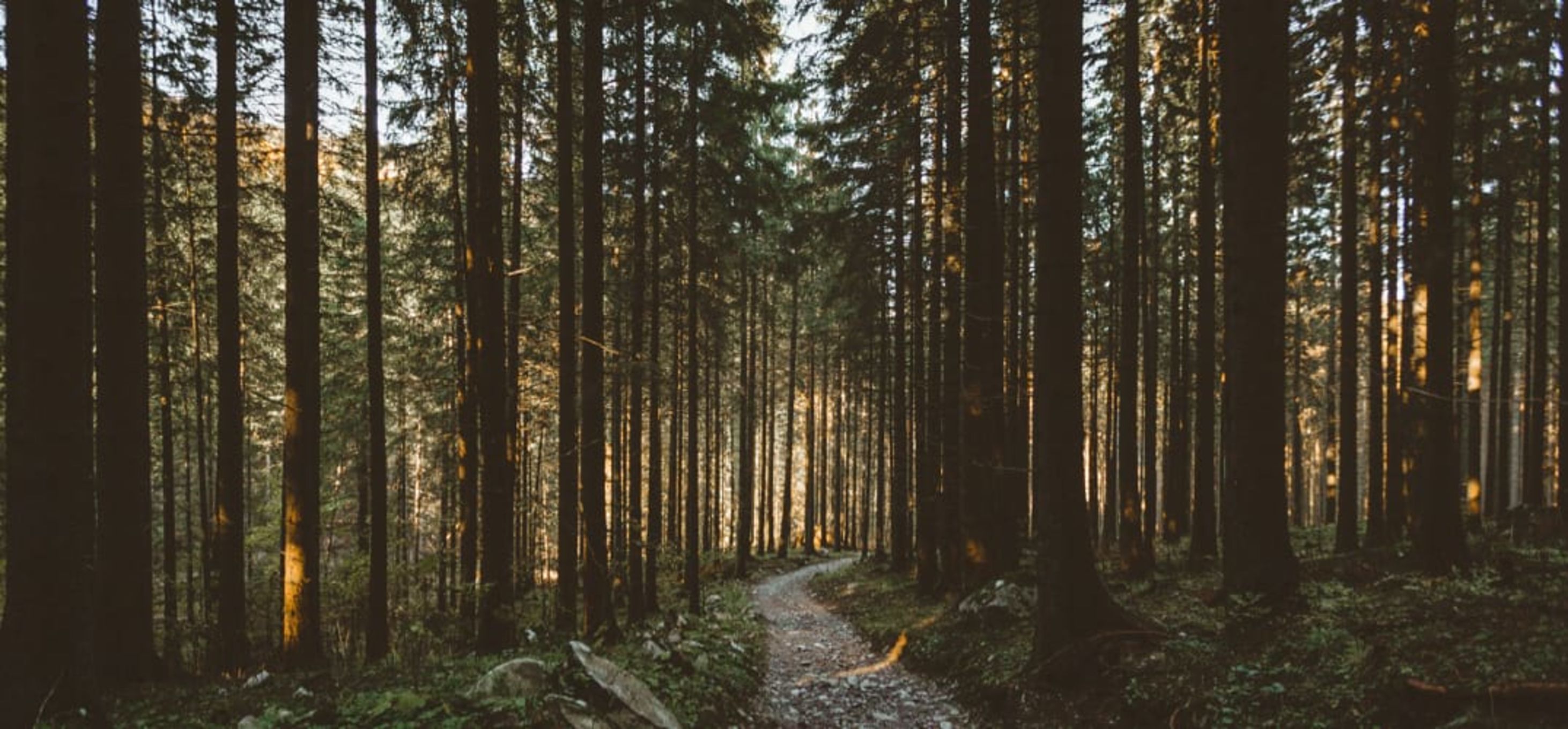 Met de camper naar Polen