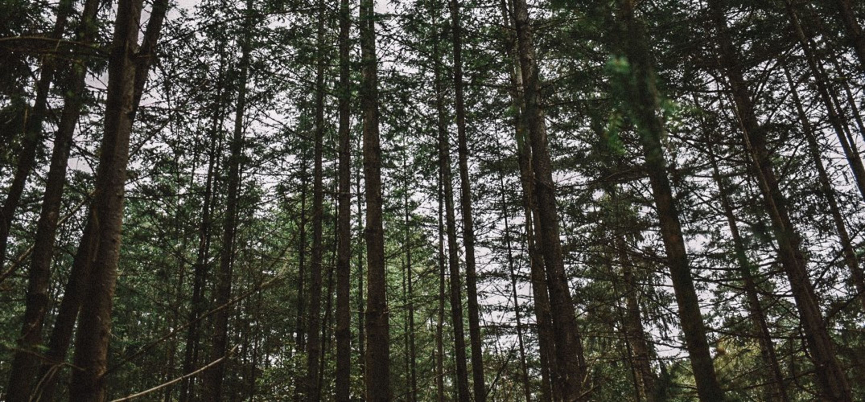 Wat te doen op de Veluwe 