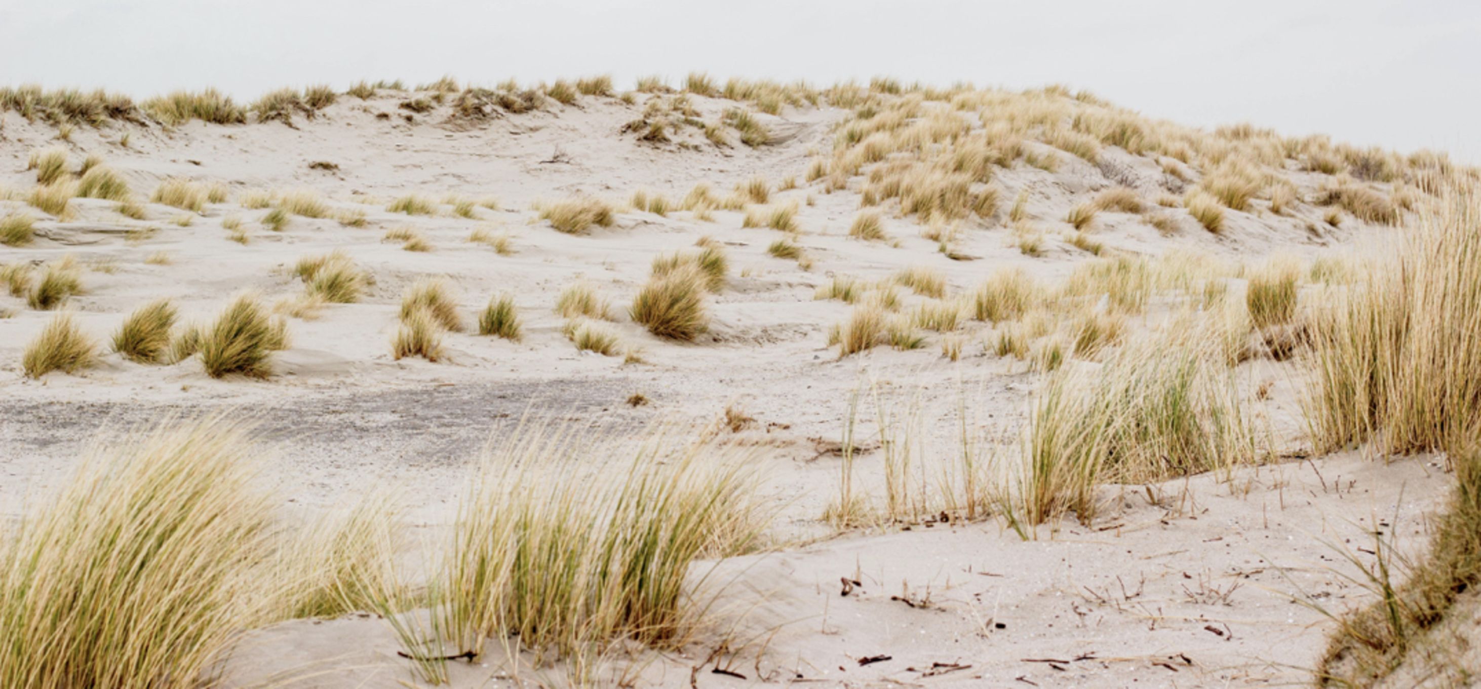 De 10 mooiste stranden van Zeeland