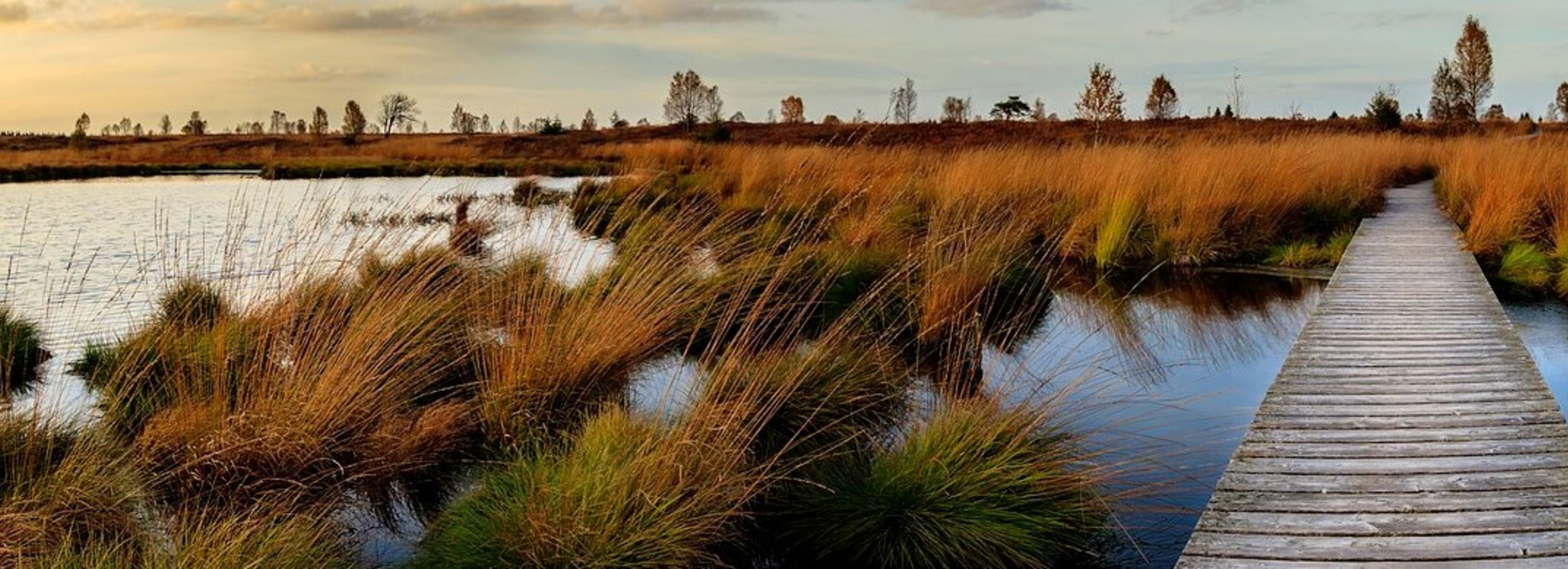Met de camper naar de Hoge Venen: camperplaatsen en campings 