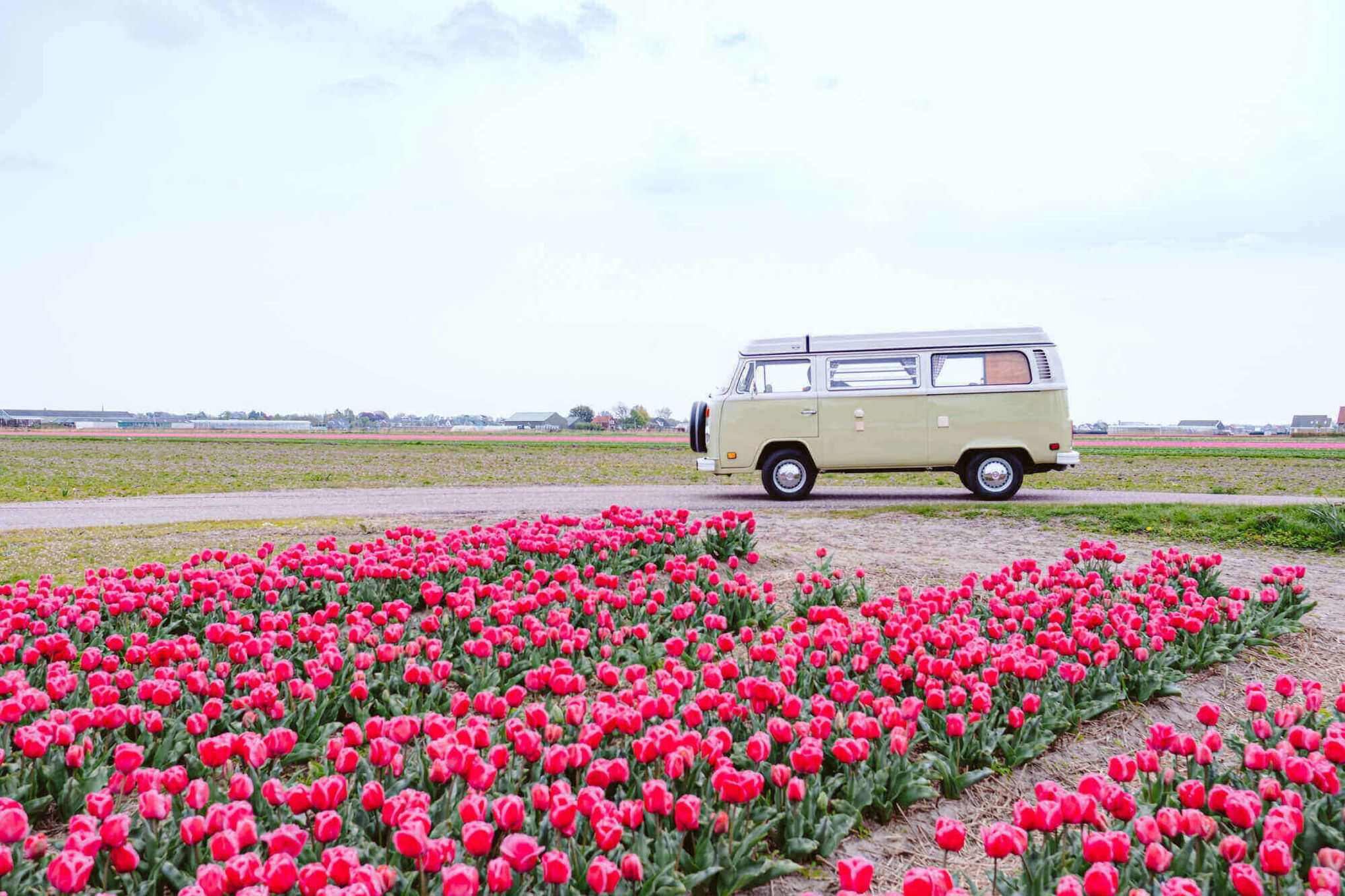 Wildcampen Niederlande – erlaubt oder nicht erlaubt?