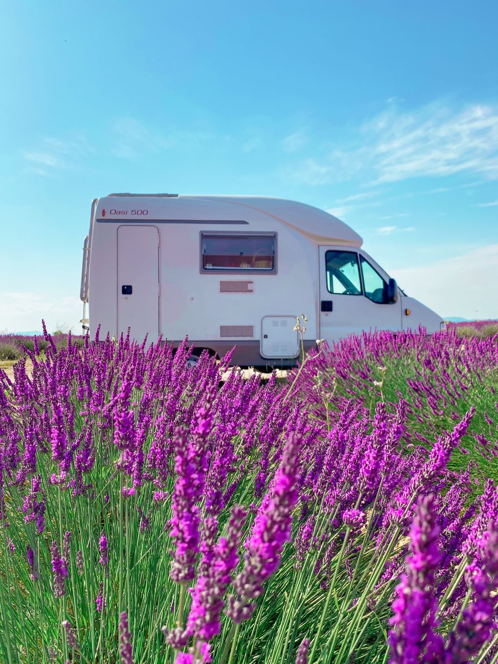 Viaggio in camper tra i campi di lavanda in Italia
