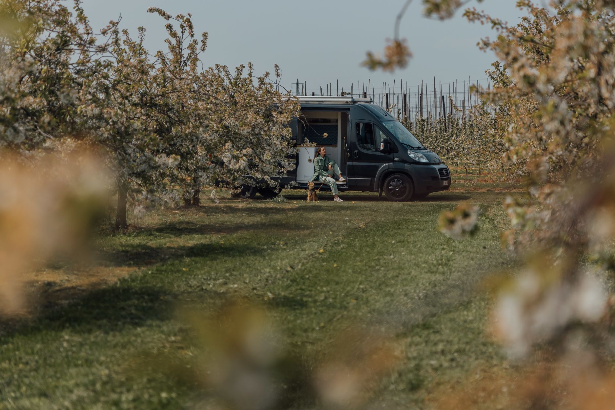 Come scegliere un campeggio dopo aver noleggiato un camper