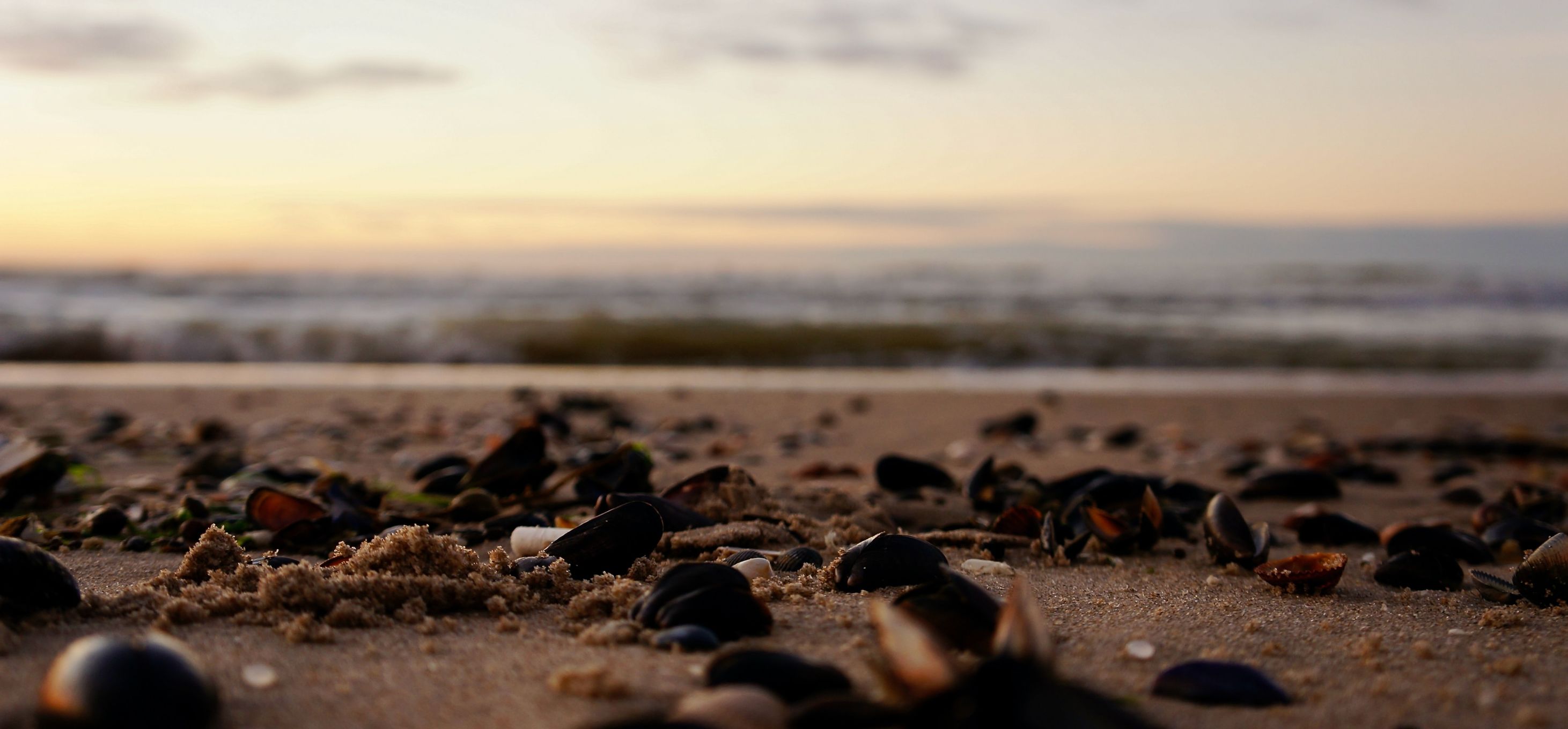 7x camperplaats in Westende 