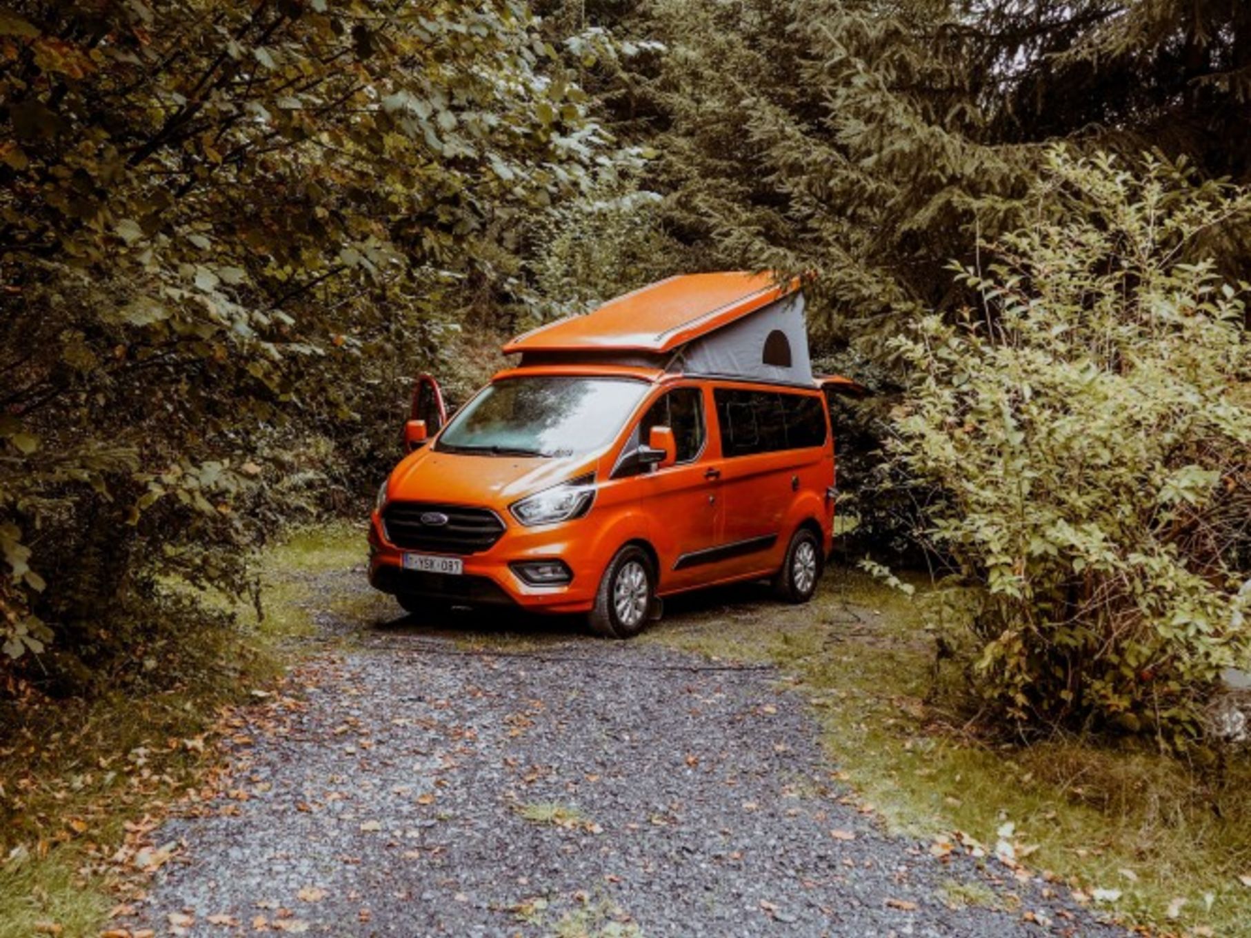 Die schönsten Touren mit dem Wohnmobil in den Herbstferien