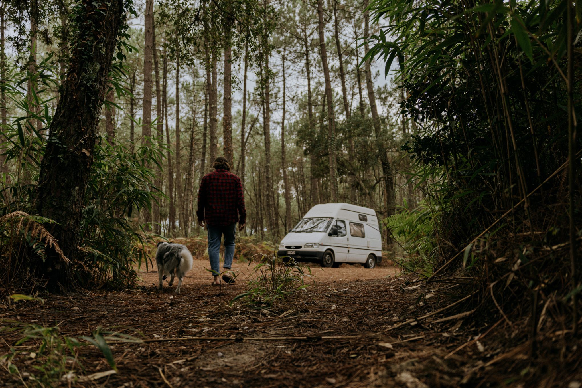 Wildcampen Frankreich