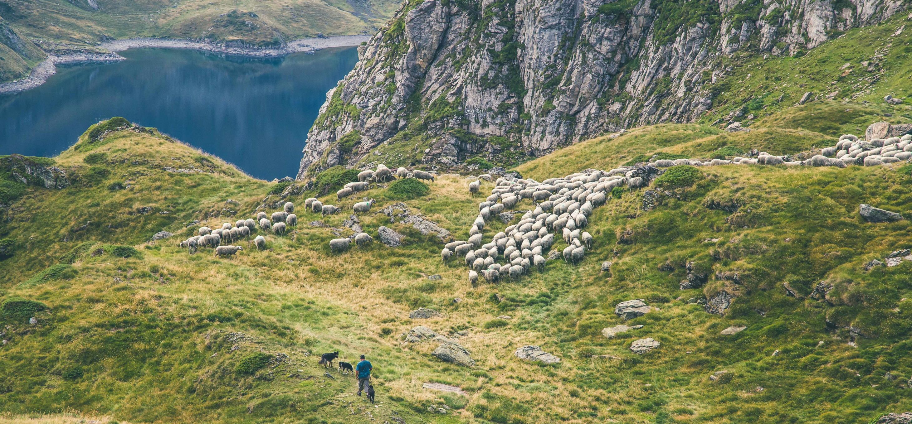 Verken de valleien van de Adour en de Aure