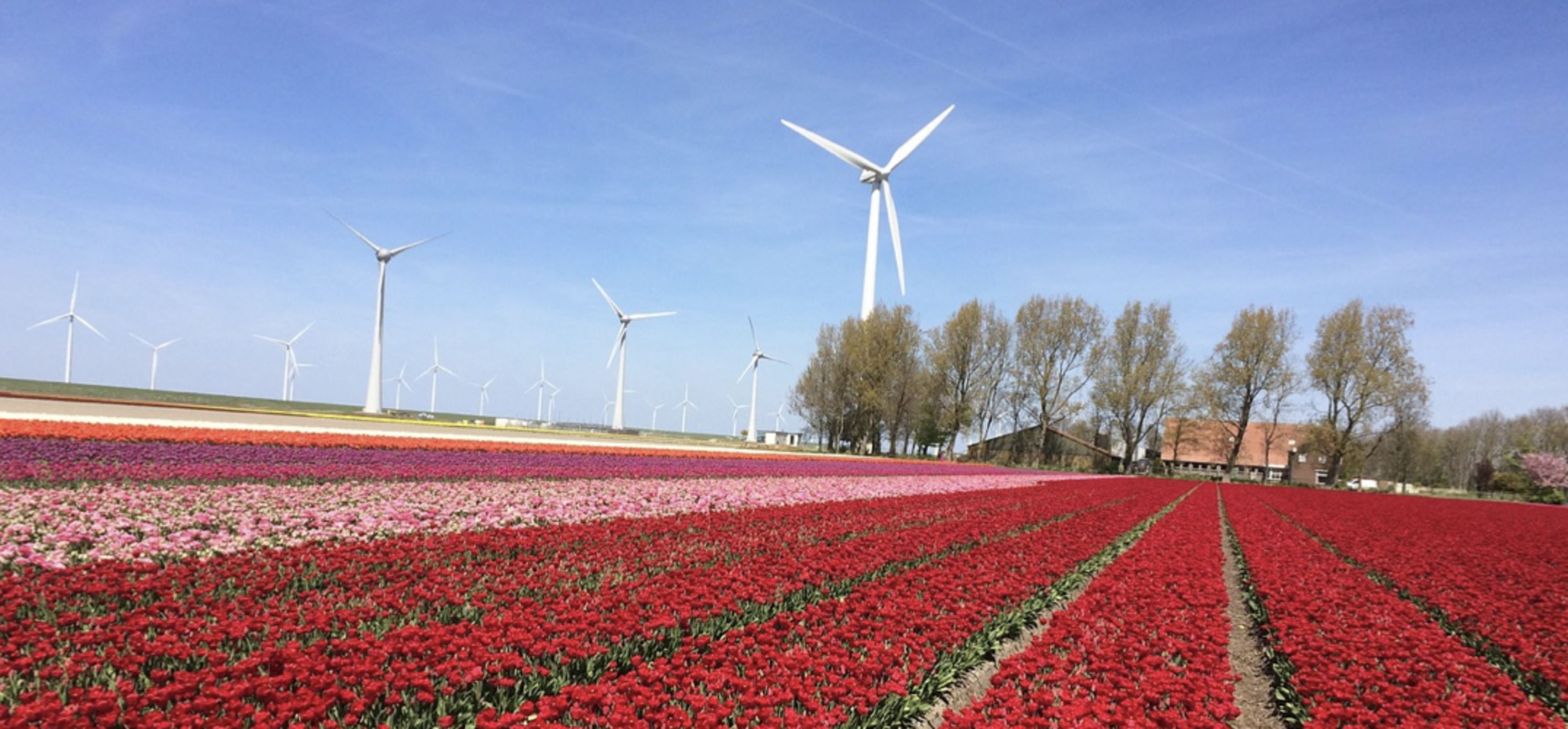 Camperplaatsen in Flevoland