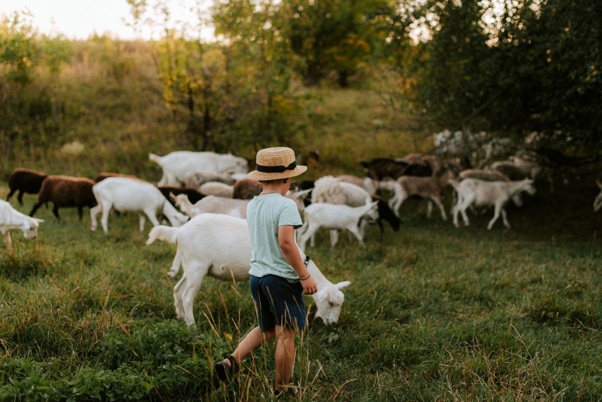 Kleinschalige campings in Europa met een hart voor gezinnen
