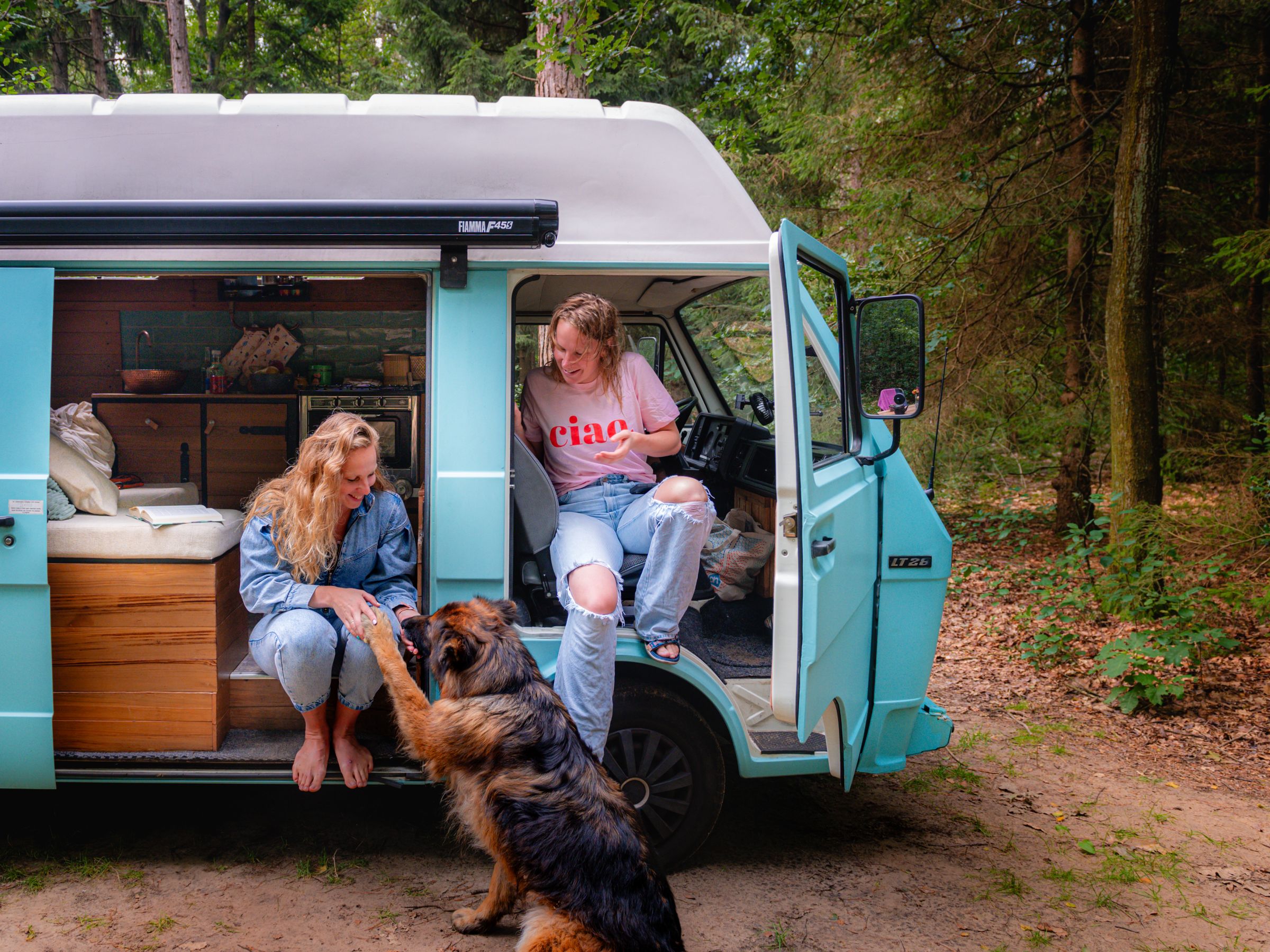 Tailwaggers Taxi canine adventure bus in Southeast Wisconsin