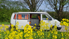 Big Belly Billy – The partner for your adventure!