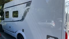 Mik – Bustner Delfin