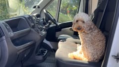 Luv Shack – 3 berth Peugeot campervan from 2016