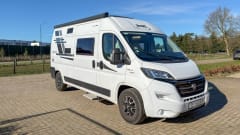 Witte Vlegel – Mclouis Menfys Matic 