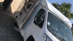 Stef – Magnificent discovery