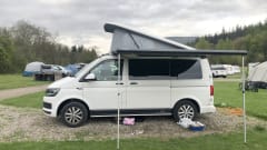 Petunia – Petunia the Campervan