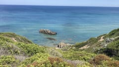 Laika Ecovip 3L in perfette condizioni.