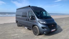 Suzy – 4p Fiat bus from 2020