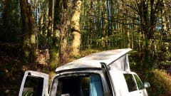 Bailey  – Luxury VW Campervan Hire