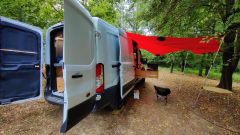 ons busje – 2p Ford bus uit 2015