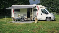 Making Memories! – Spacious luxury camper fully equipped (2-4p) - Central Veluwe