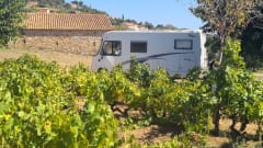 4p Niesmann + Bischoff integrated from 2008