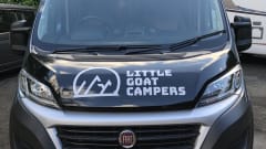 Alpine I -  Carabus 600K Campervan