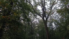 LamutCH – Converted van