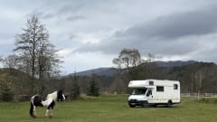 BAMBO WHEELS – Spacious nice family camper