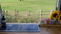 Dallas – Meet Dallas our much loved camper! 