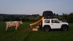 Simba – 2p Other rooftop from 2022