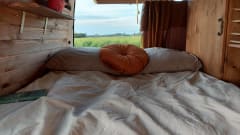 Amerai il nostro bel camper Volkswagen insieme al tuo cane o gatto!