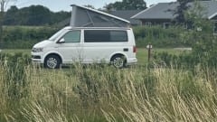Cali  – Volkswagen California T6 (Factory Camper, original)